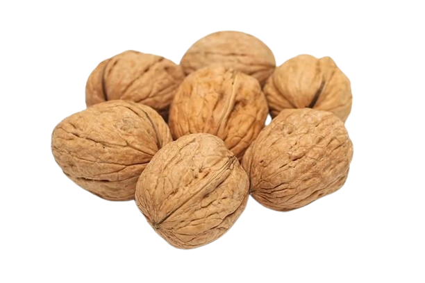 Walnut In Shell, 1kg